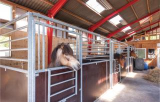 22-Bedroom Holiday Home In Henne - Henne - 9