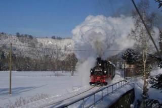 Fewo Katzengold - 2
