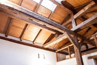 Einzimmer-Wohnung mit Galerie für vier Personen - Schernfeld - 4