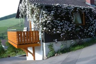 Small holiday cottage - Schuttertal - 0