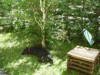 Ferienwohnung In Epinel Mit Garten - 1