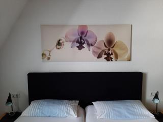 Gemütliche Ferienwohnung In Walkenried - Walkenried - 1
