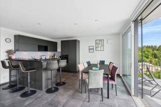 ANYTIME - Penthouse mit Terrasse und Bergsicht - Friedrichshafen - 5