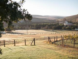 Ou Meul Farm Cottage - Botrivier - 6