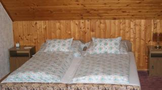 Ferienwohnung in Hévíz mit Grill - Hévíz - 3