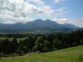 Appartement Rozika - Slovenj Gradec - 8