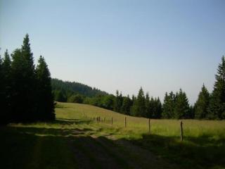 Appartement Rozika - Slovenj Gradec - 2