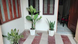 Holly Cottage - comfortable stays - Varanasi - 5