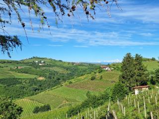 Agriturismo Cà Trinche - 4