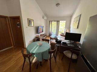 Horizon view Apartment Przno - Sveti Stefan - 7