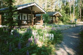 Fish & Fun Holiday Village - 4