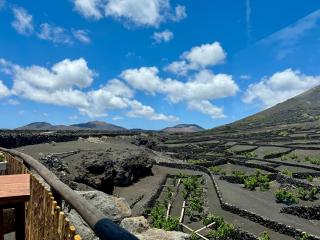 Canaryislandshost I Viñedos - Uga - 6