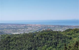 Faggio - Camaiore - 4