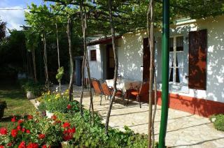 Freistehendes Ferienhaus mit traditionellem Steingrill im weitläufigen, grünen Garten - 2