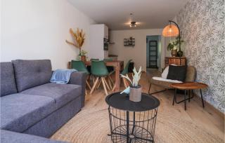 Nice Home In Heinkenszand With Sauna - 8