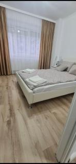 Apartament Daria - Timişoara - 3