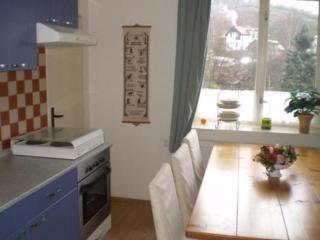 Villa "Na Hora" mit Garten, Grill und Terrasse - Malé Svatoňovice - 5
