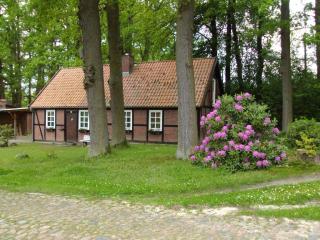 Ferienhaus im Fachwerkstil mit Sauna und Garten - Thomasburg - 9