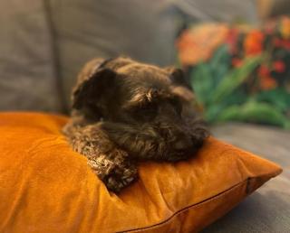 Yorkshire Dales Lodge 8 by Together Travel - 3-Bed Ensuite Retreat - 7