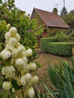 Cottage chaleureux avec Cheminée au Calme - Beaubery - 6