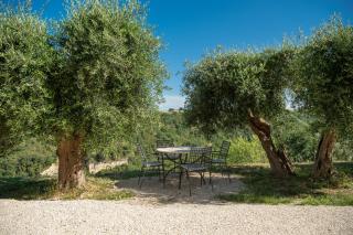 Podere Miray - Torre di Palme - 9