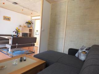 Freistehendes Ferienhaus beim Wellnessbad mit eingezäuntem Garten und Terrasse - Birkamajor - 5