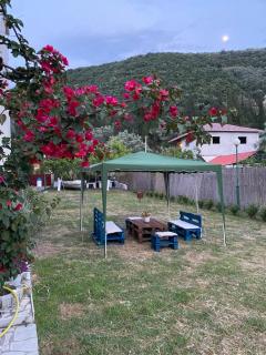 Camelia Studios - Yenion - 9