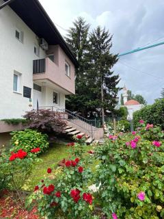 Holiday Home Ilidza Ella - Sarajevo - 6