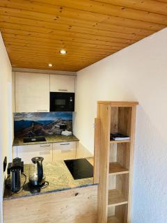 Wengerhof "Urlaub im Gasteinertal" - 1