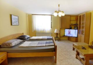 Geräumige Kellerwohnung in der Nähe von Umag - Umag - 5
