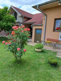 Villa Nena - Kladovo - 9