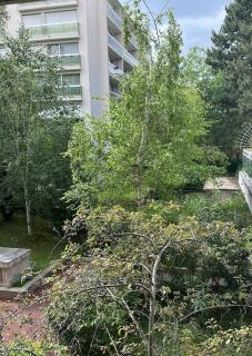 Charmant studio, central - Paris - 3