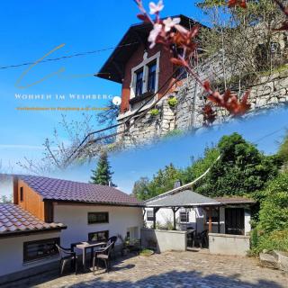 Große Reblaus - Wohnen im Weinberg in der Toskana des Nordens - Freyburg - 0