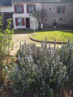 Gite Vini Cella - Nanton - 4