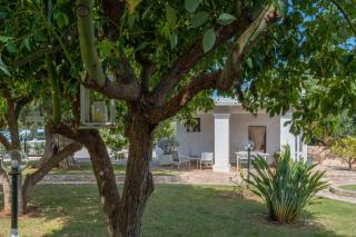 Dimora Tauro B&B - 4