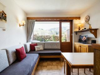 Studio chaleureux, proche pistes et commerces, garage, accepte animaux, terrasse ensoleillée - FR-1-304-26 - La Clusaz - 0