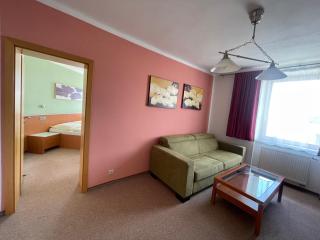 Hotel Ostrov Garni - Sadská - 3