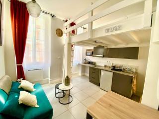 Studio cosy jardin des plantes - Toulouse - 0