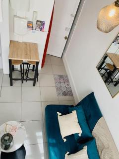 Studio cosy jardin des plantes - Toulouse - 2