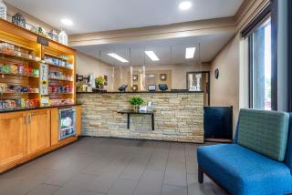 Comfort Inn Asheville East-Blue Ridge Pkwy Access - Asheville - 6