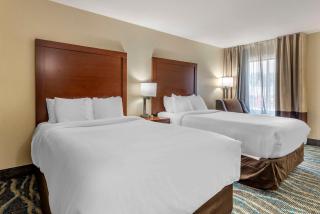 Comfort Inn Asheville East-Blue Ridge Pkwy Access - Asheville - 3