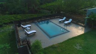 Vaani Greens Wildlife Resort, Kaziranga - 7