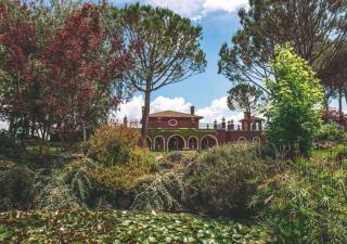 Panoramic Villa Elda in the heart of Tuscia - 1