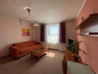Hotel Ostrov Garni - Sadská - 8
