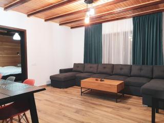 Gray River Resort - Obarsia-Lotrului - 3