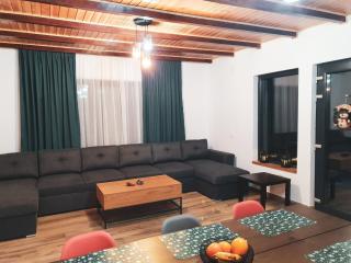 Gray River Resort - Obarsia-Lotrului - 2