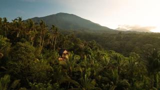 Bali jungle cabin - 7