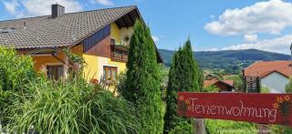 Komfortable Ferienwohnung Mit Garten Und Grill - Gleißenberg - 6