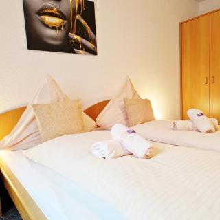 DM Hotels & Apartments - Zum Unstrut Radler - 0
