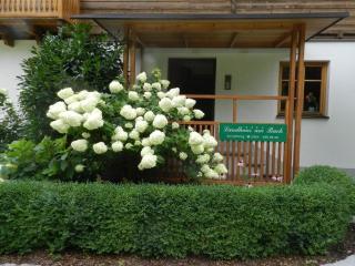 Das Süd-West Apartment - Übelbach - 5